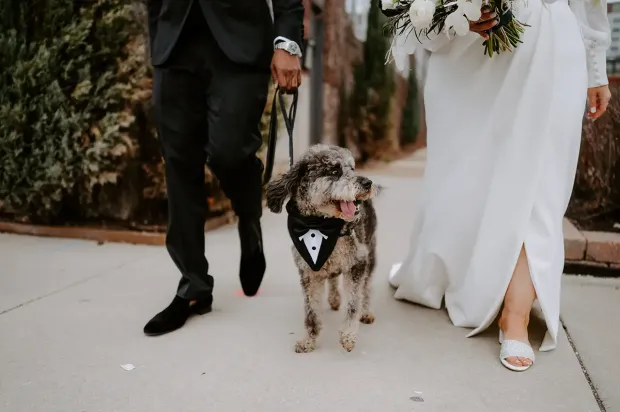 De trend van 2026: Hoe bruiloften steeds persoonlijker worden