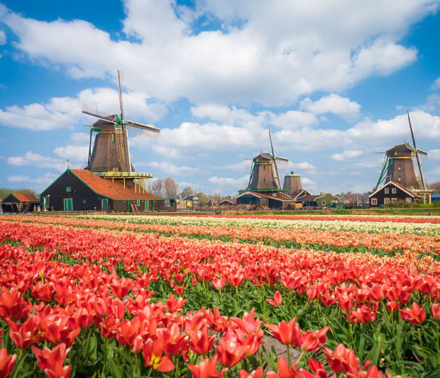 nerderland molens trouwen