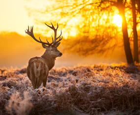 Gelderlandse landschappen, wat is er te doen?