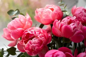 Bruidsboeket met pioenrozen: zo kies je de mooiste bloemen voor jouw trouwdag