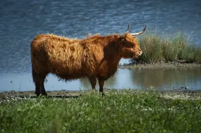 4 unieke trouwfoto-locaties in Zuid-Holland (die niet iedereen kent)