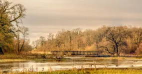 De mooiste fotoshoot locaties in Drenthe