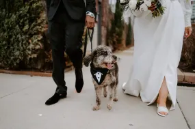 De trend van 2026: Hoe bruiloften steeds persoonlijker worden