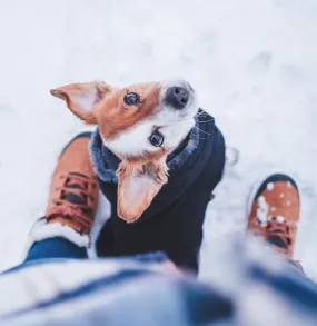 Vanaf 6 januari is het programma 'Winter Vol Liefde' elke dag te zien!