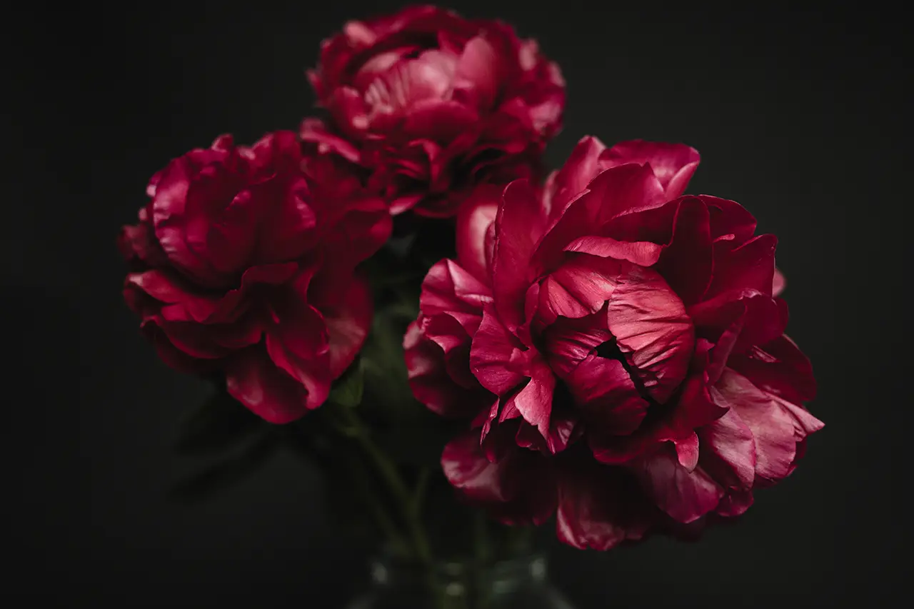 Bruidsboeket met pioenrozen en andere bloemen