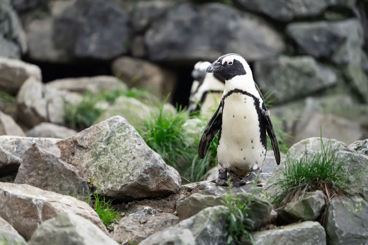Trouwfoto's maken in Neder-Betuwe