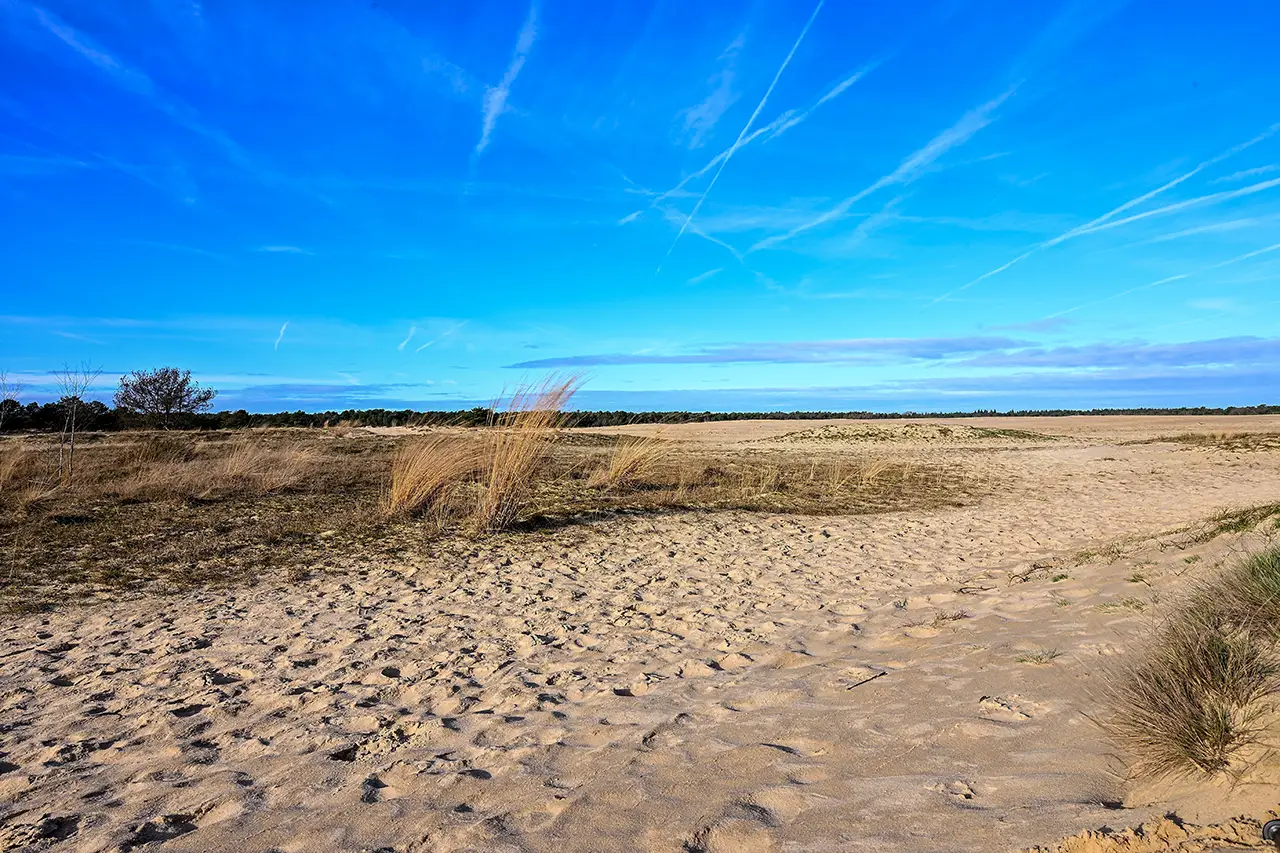 de loonse en drunense duinen