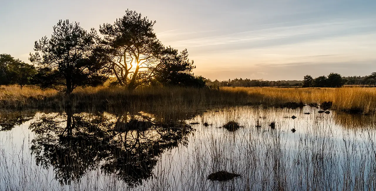 oude buisse heide