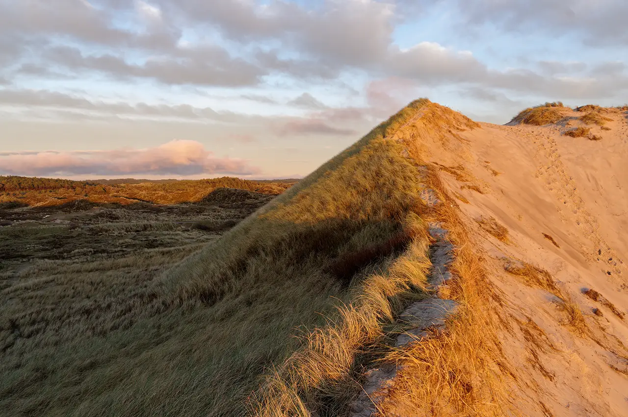 Trouwfoto's maken Schoorlse Duinen