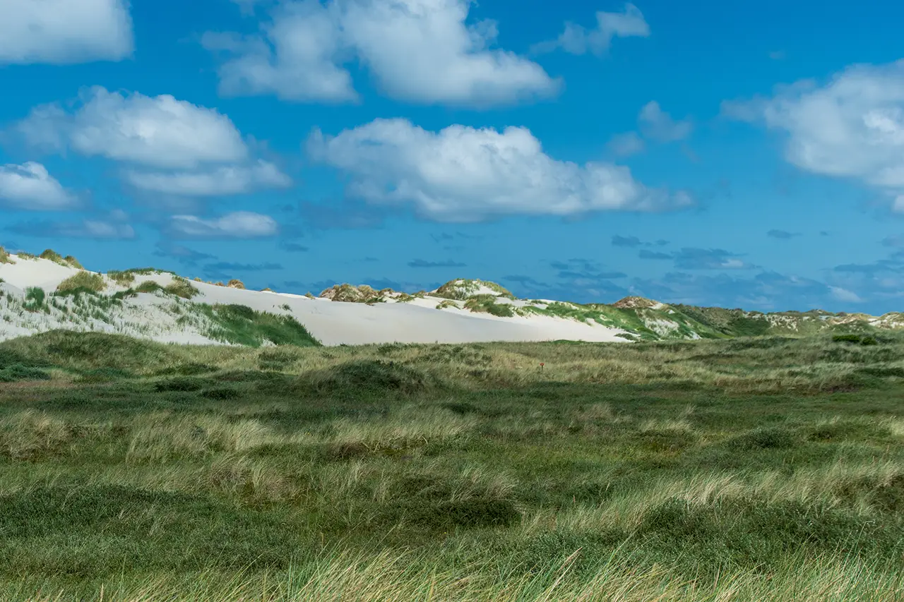 Trouwfoto's maken op de waddeneilanden