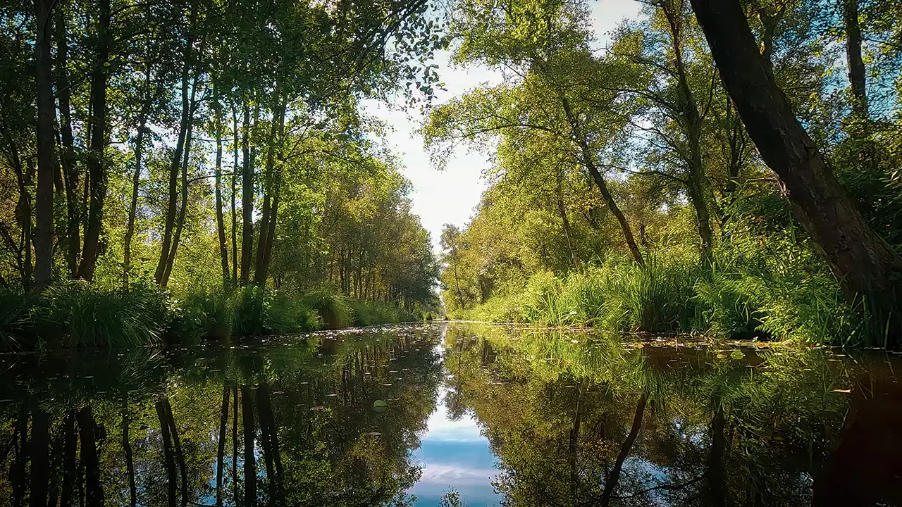 trouwfoto locatie de weerribben